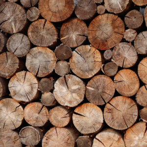 buche support pour sapin de noël