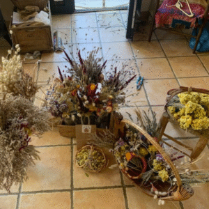 capture d'écran 2025 11 20 040506