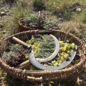 capture d'écran 2025 11 20 040558