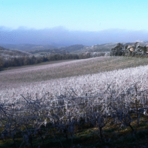 capture d’écran 2025 11 26 à 20.47.13