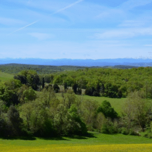 capture d’écran 2025 11 26 à 20.48.23