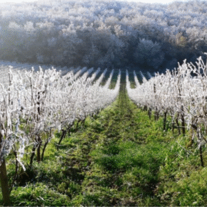 capture d’écran 2025 11 26 à 20.56.35