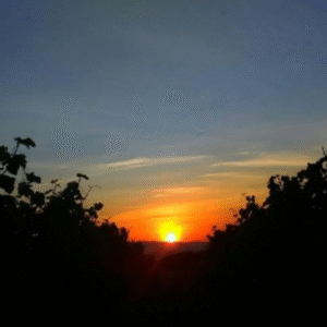 capture d’écran 2025 11 26 à 20.56.46