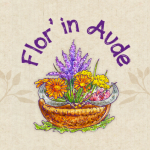 capture d'écran 2025 11 20 040534